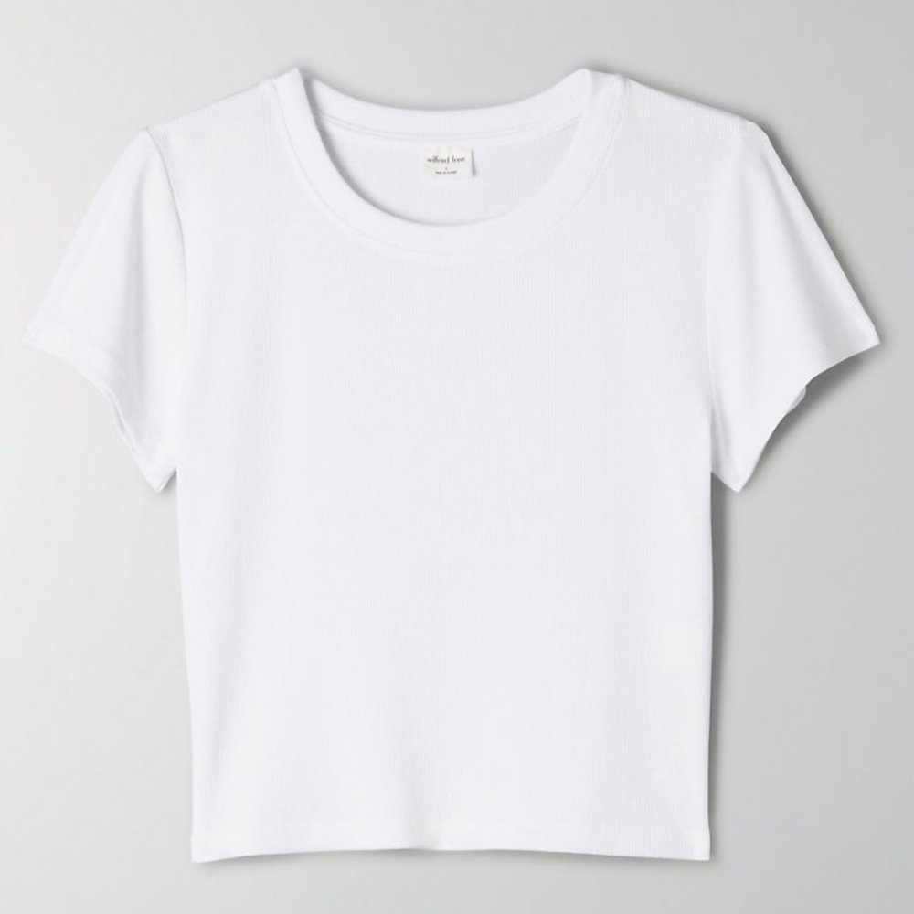 Aritzia Ribbed Crewneck Go-To Tee